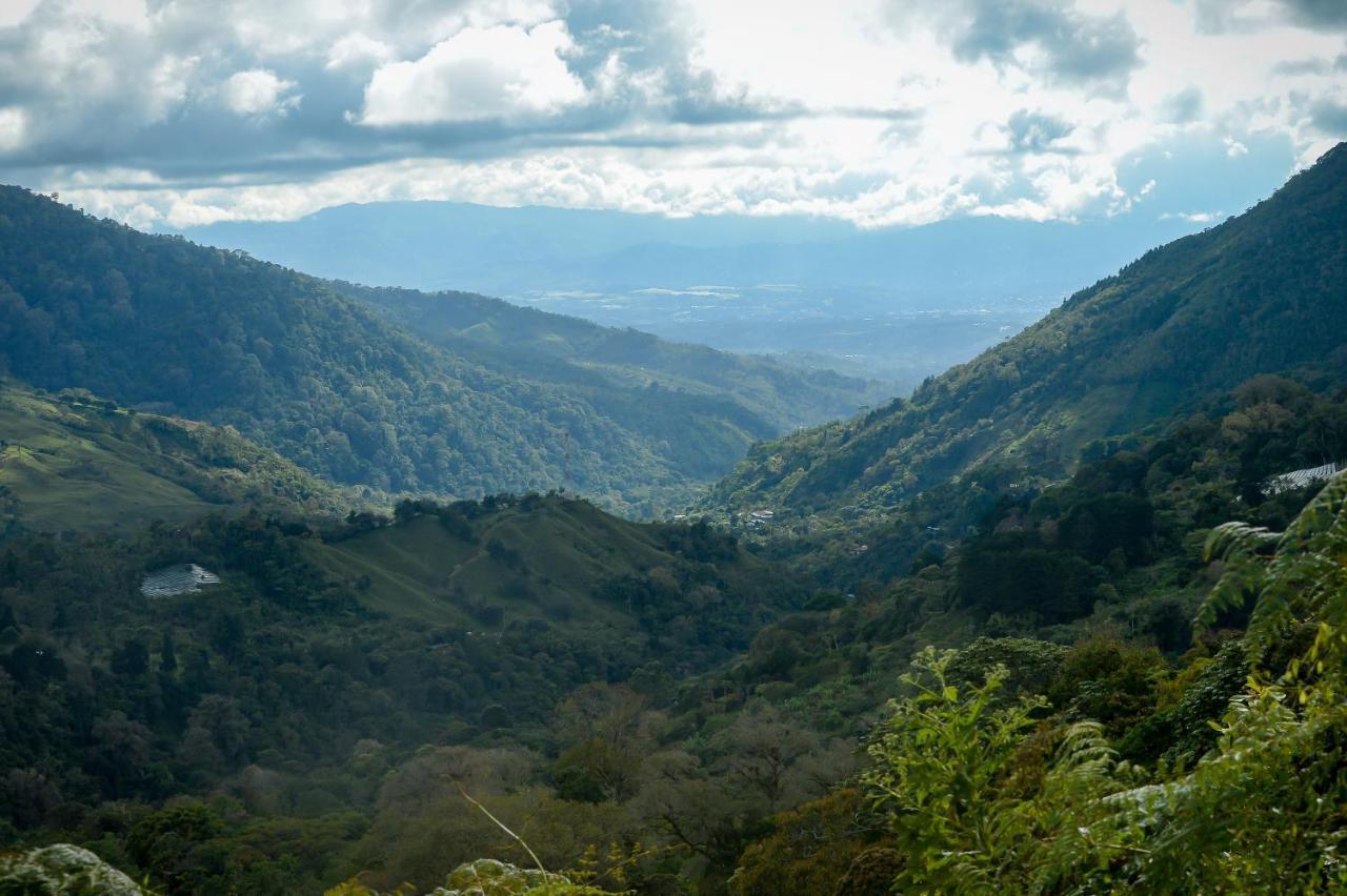 Talamanca Nature Reserve Rivas Kültér fotó