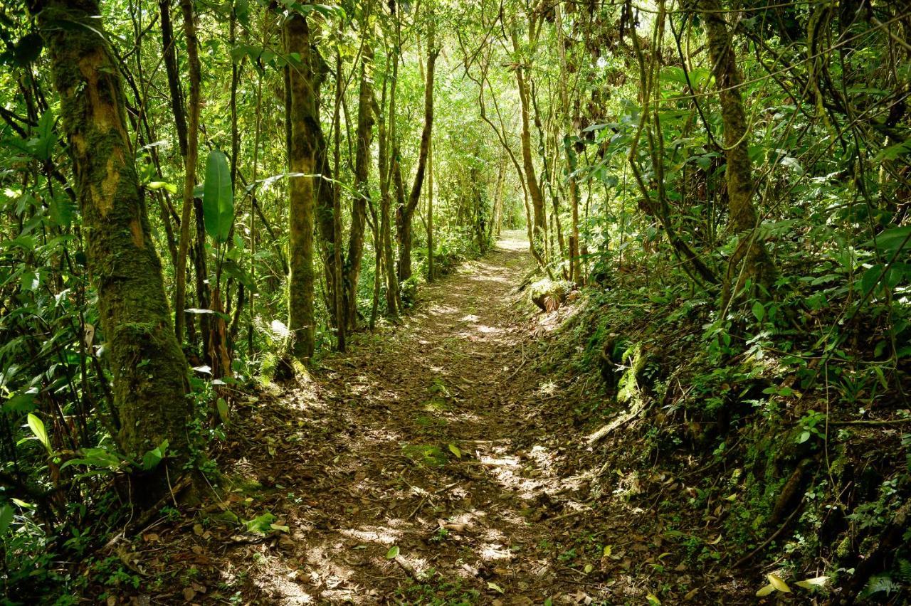 Talamanca Nature Reserve Rivas Kültér fotó