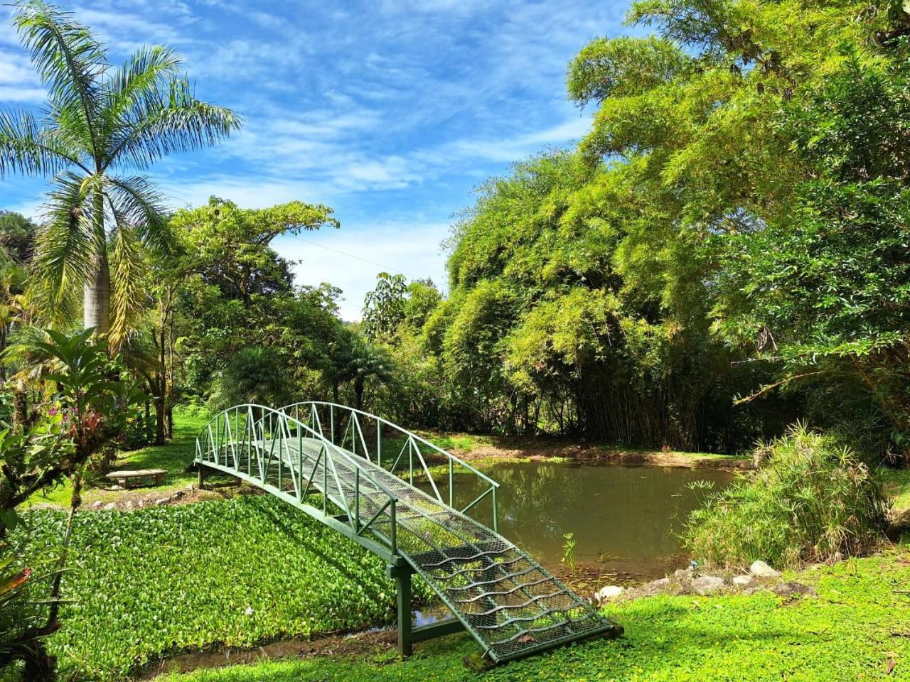 Talamanca Nature Reserve Rivas Kültér fotó