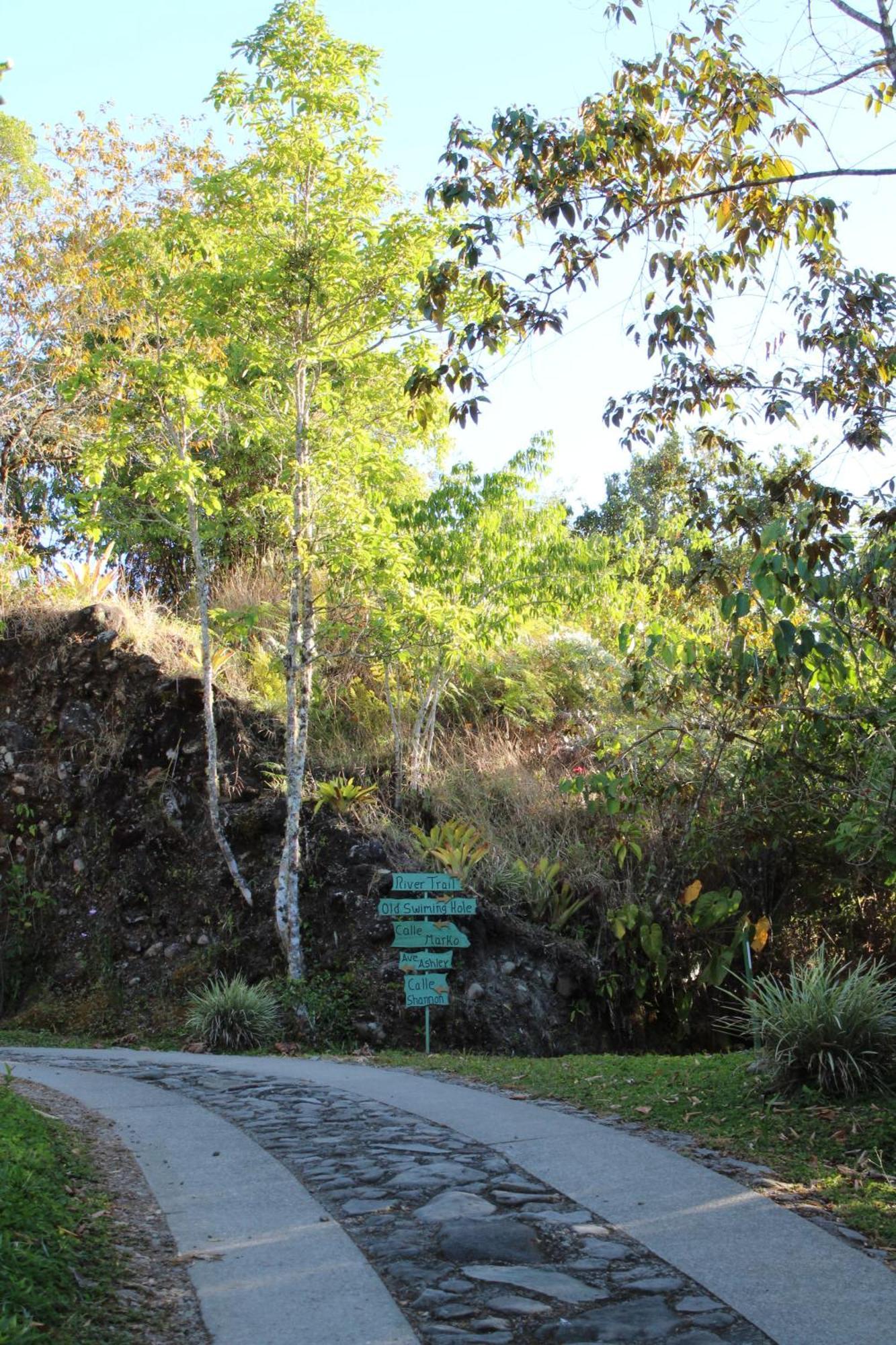 Talamanca Nature Reserve Rivas Kültér fotó