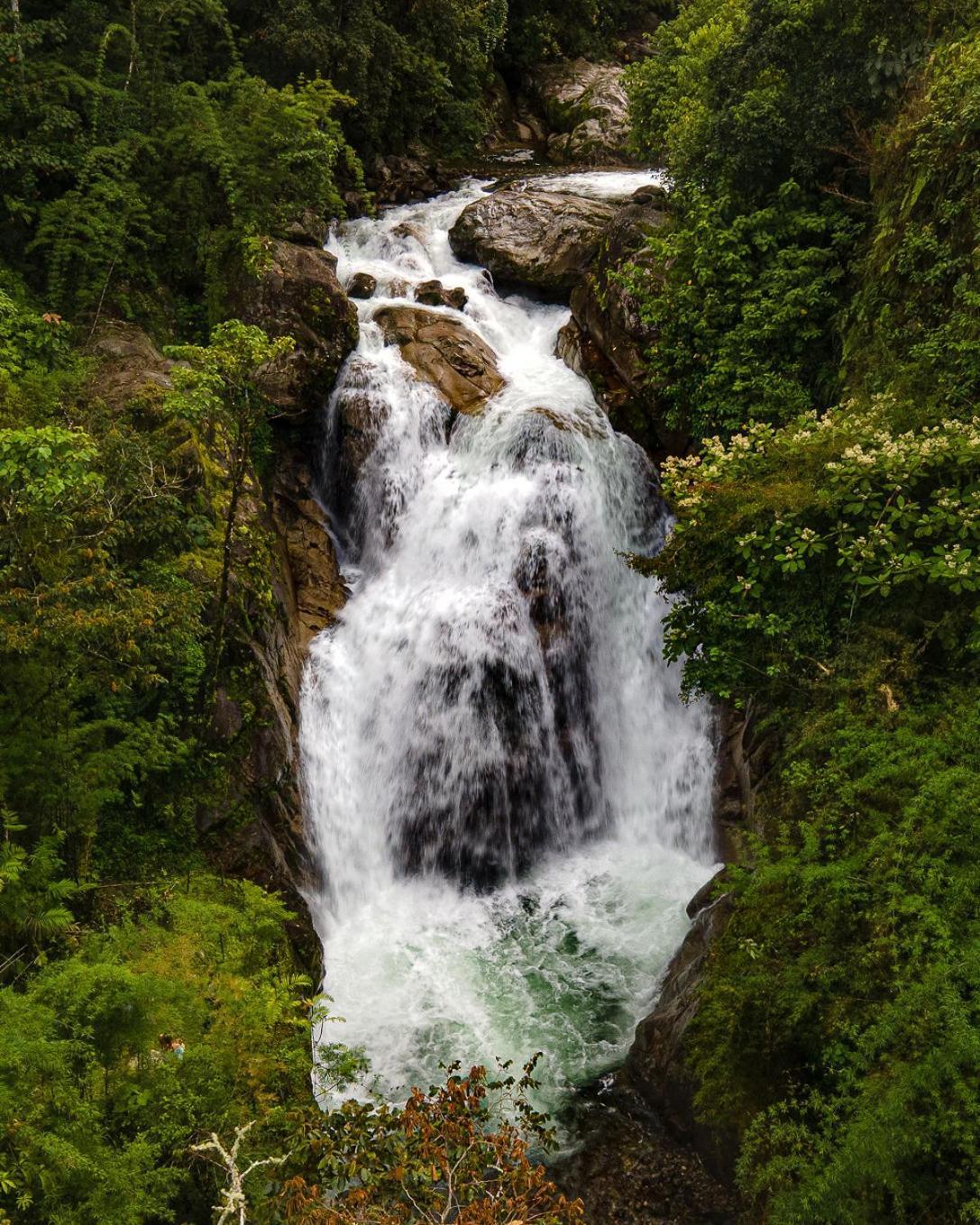 Talamanca Nature Reserve Rivas Kültér fotó