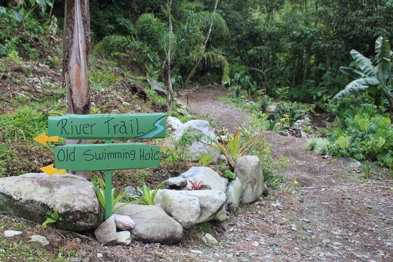 Talamanca Nature Reserve Rivas Kültér fotó